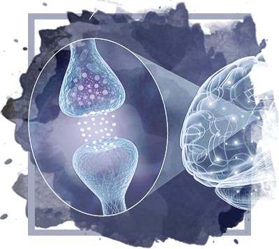 Serotonin